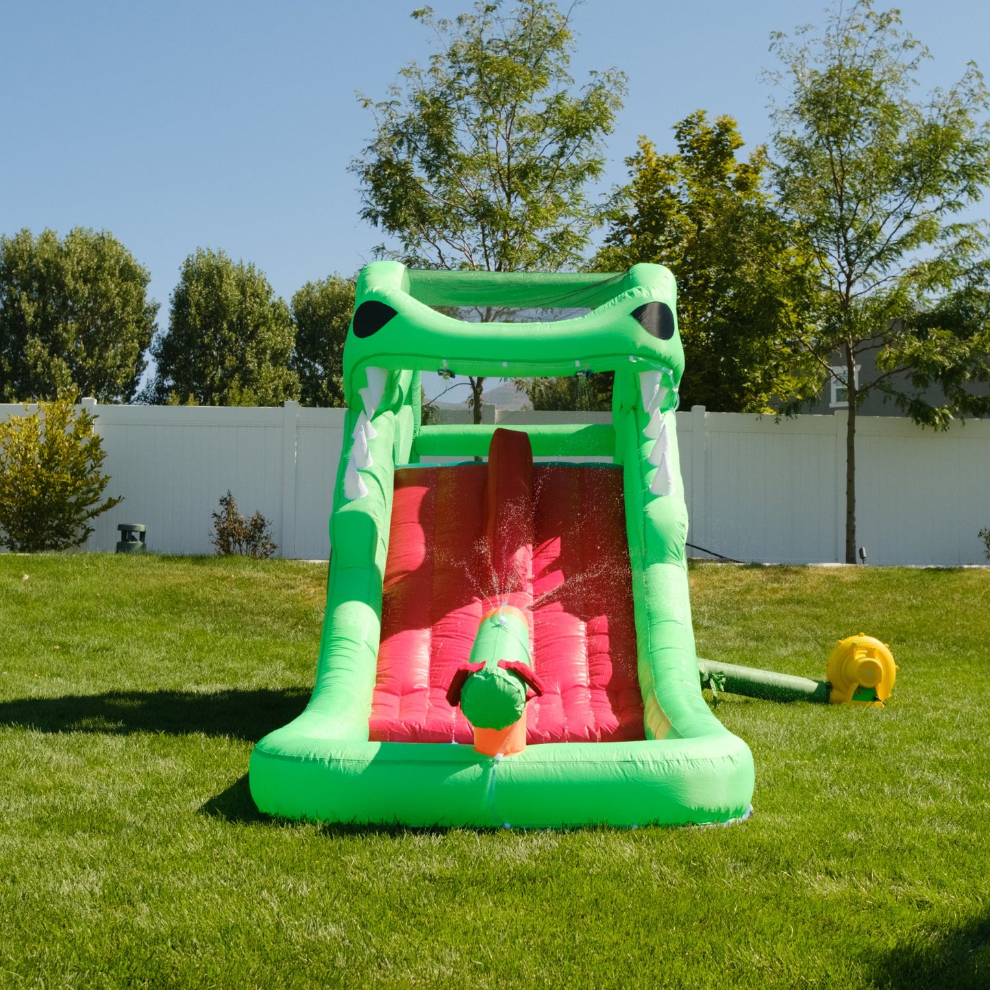 Dragon's Lair Bounce House 