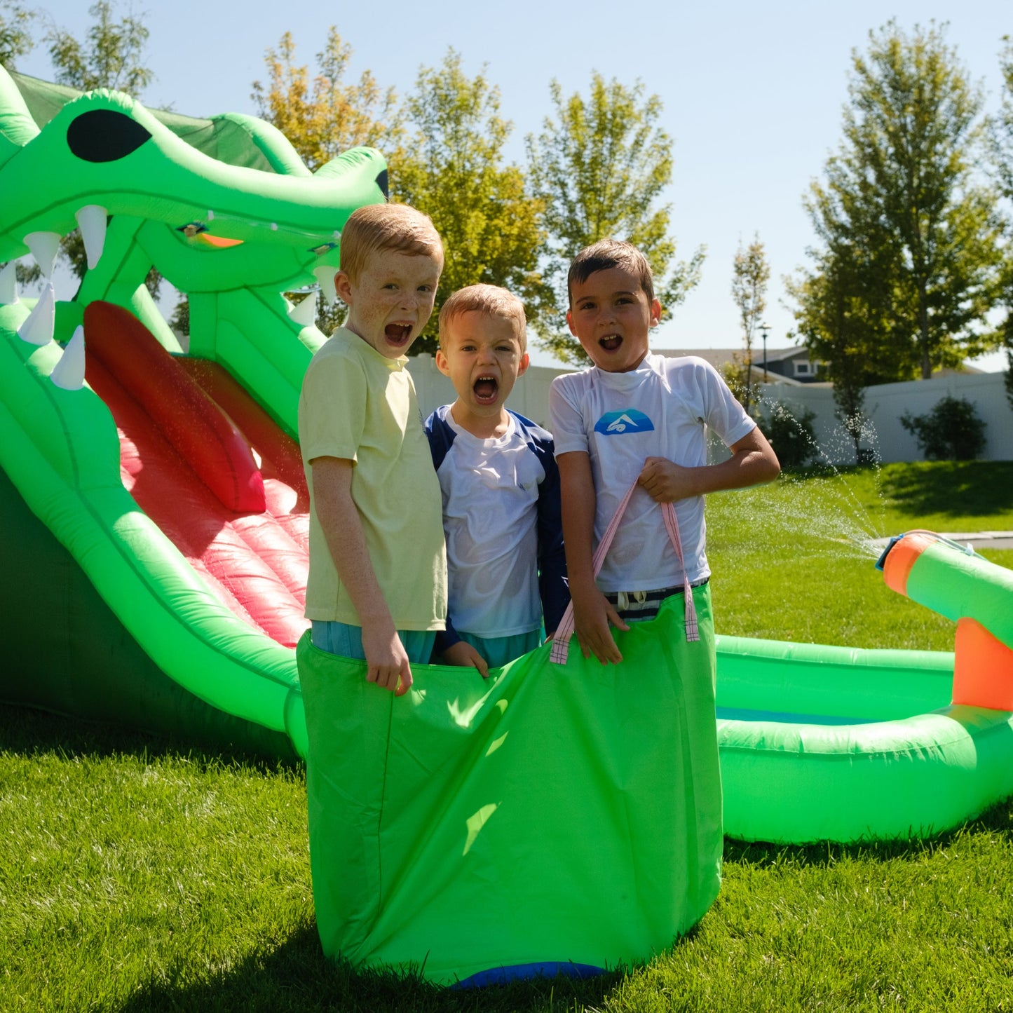 Dragon's Lair Waterslide